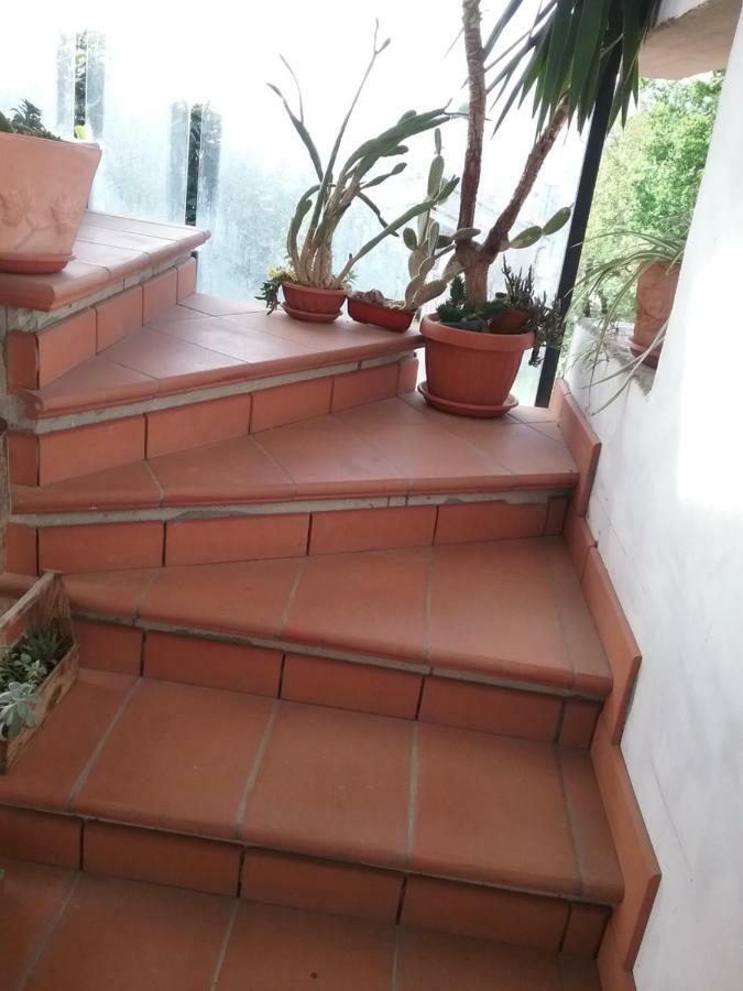 Appartamento Relax Terni Zewnętrze zdjęcie